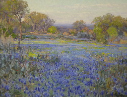 A Field of Blue Bonnets, Late Afternoon Sunlight